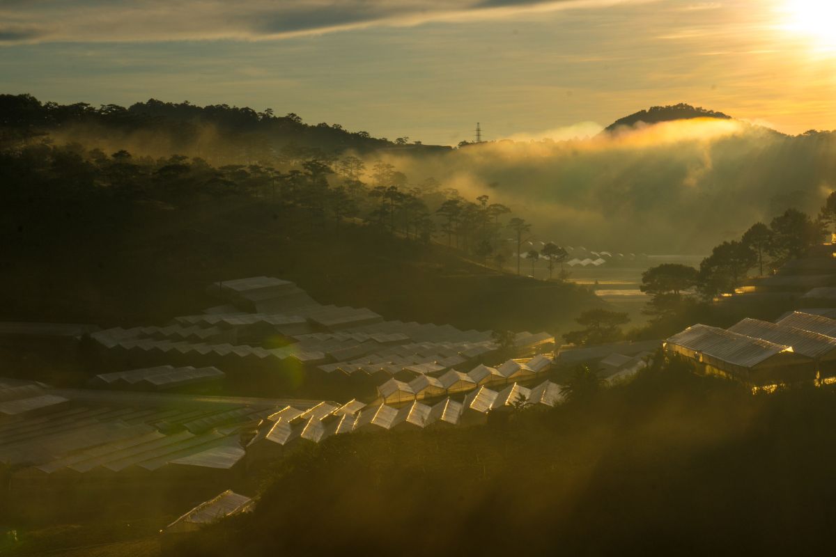 TOUR DU LỊCH ĐÀ LẠT - BUÔN MA THUỘT